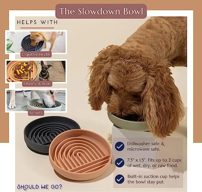 Stylish Slow Feeding Food Bowl - Vet Recommended!