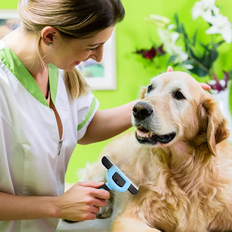 Stainless Steel Pet Hair Brush