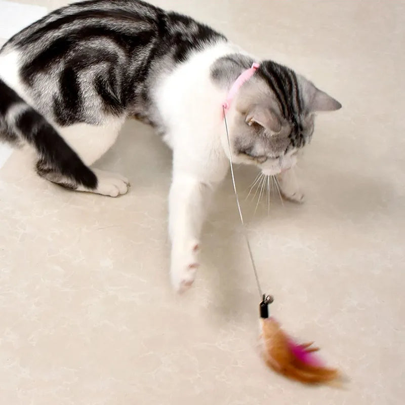 Cat Feather Collar Toy