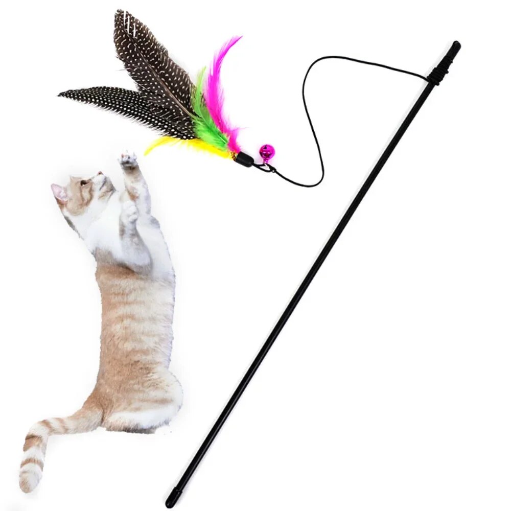 Kitty Feathered Wand Teaser