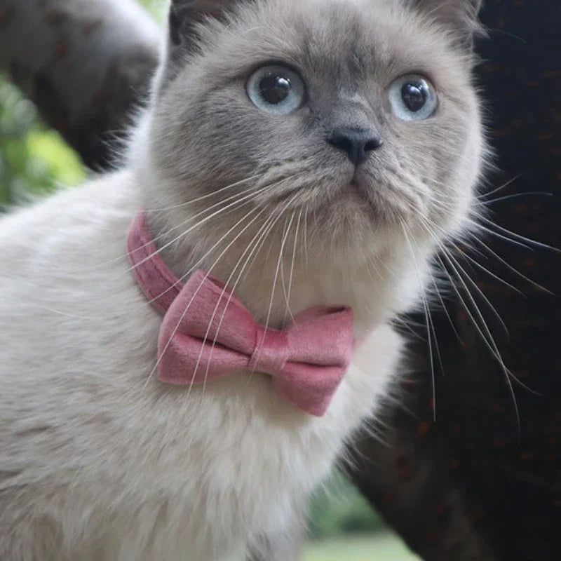 Kitty Bow Ties