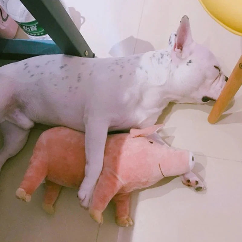 Plush Pig Sleeping Toy For Puppies