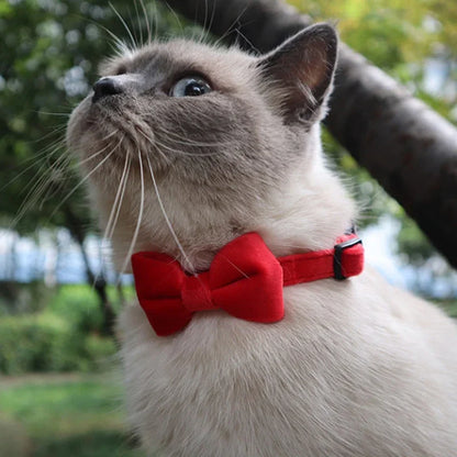 Kitty Bow Ties