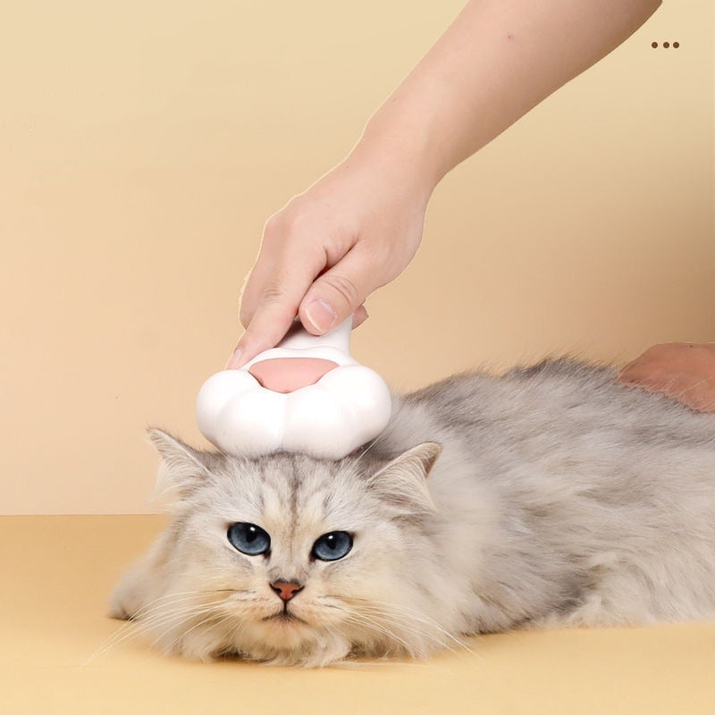 Cat Grooming Brush