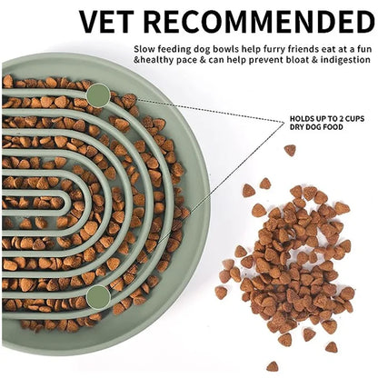 Stylish Slow Feeding Food Bowl - Vet Recommended!