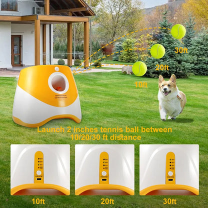 AutoFetch Machine + 3 Dog Balls